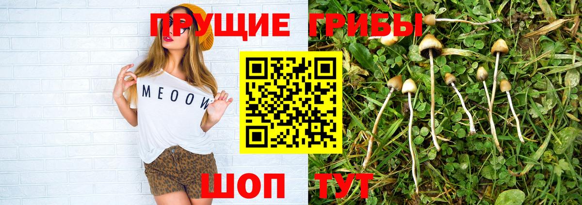 Галлюциногенные грибы ЛСД Таганрог