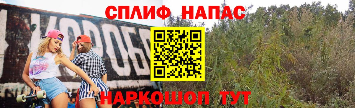 МАРИХУАНА конопля  Марихуана сатива  Шишки марихуана индика  Вход с VPN  Таганрог  Конопля семена 